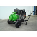 Motobomba Diesel Centrífuga Monobloco, 15LD 350, 7.5 Cv