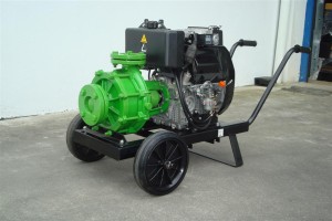 Motobomba Diesel Centrífuga Monobloco, 15LD 350, 7.5 Cv