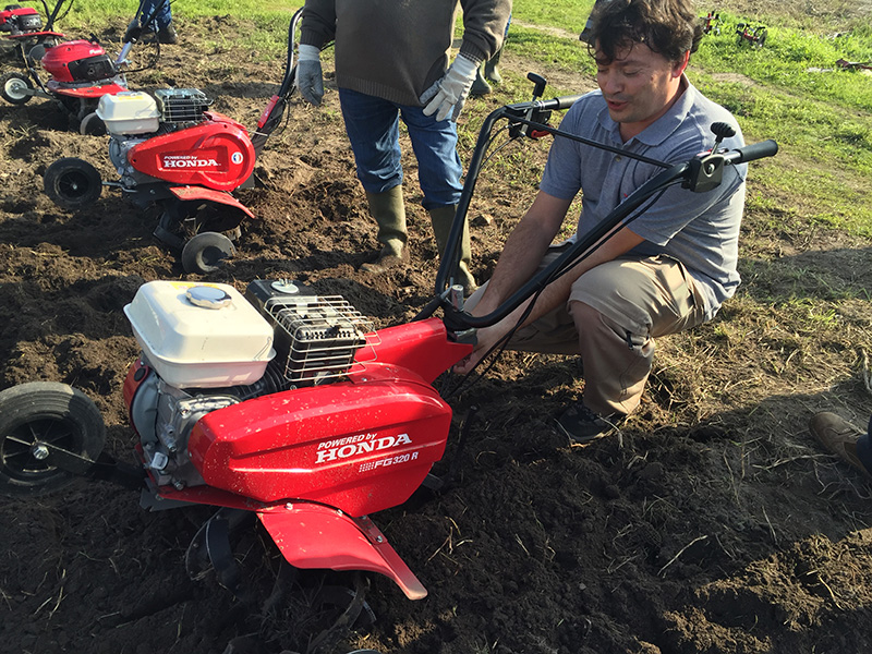 agro jardim honda